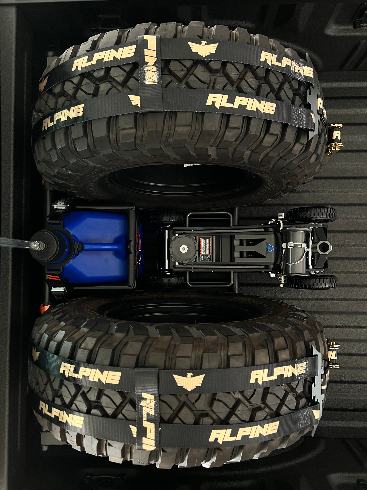 Alpine Double Eagle Straps- Gold and Black (single strap)