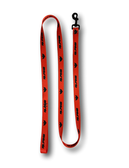 Clearance- ALPINE Dog Leash