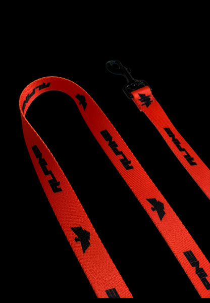 Clearance- ALPINE Dog Leash