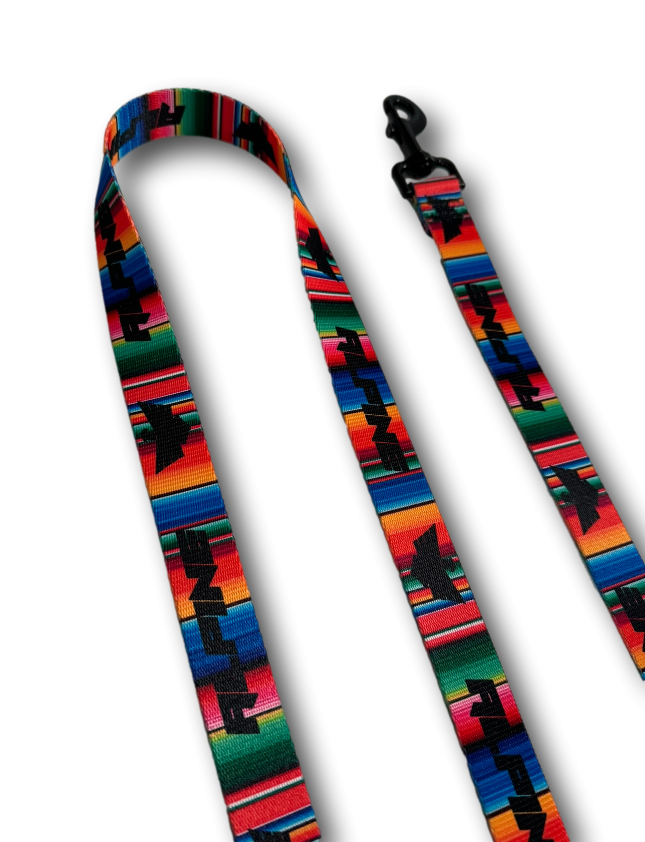 Clearance- ALPINE Dog Leash