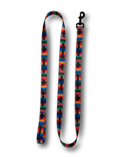 Clearance- ALPINE Dog Leash