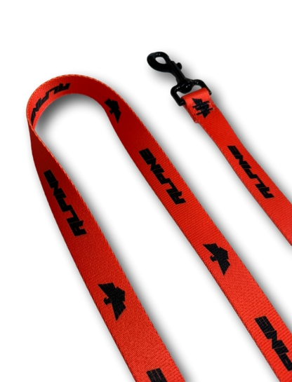 Clearance- ALPINE Dog Leash